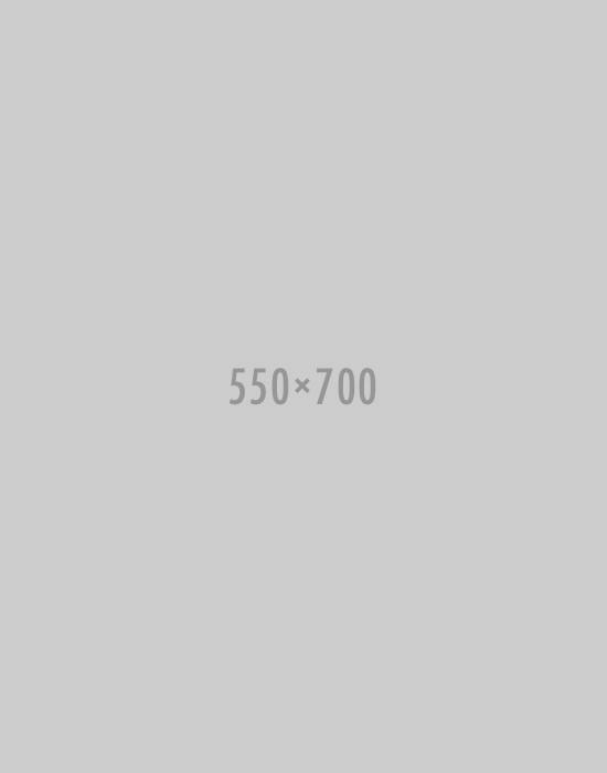 success_550_700