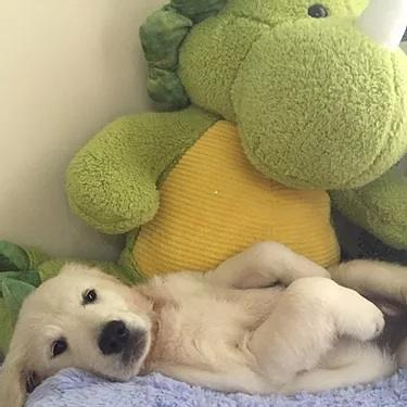 maggie