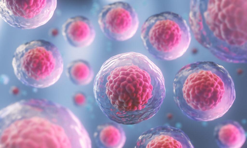 Cell_Gene Therapy