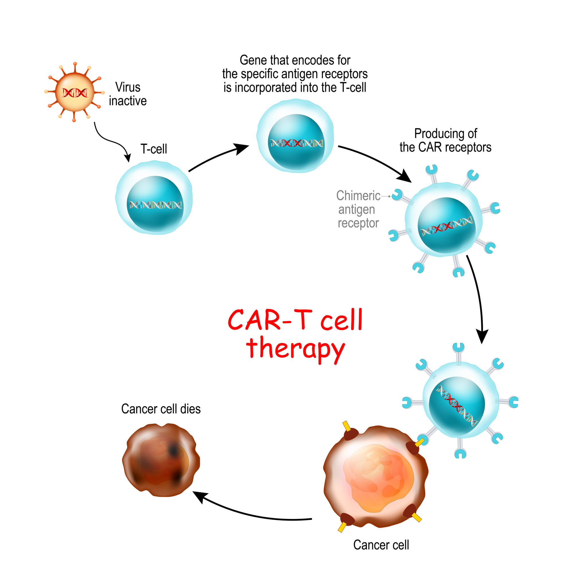 Understanding CAR Tcell Therapy Compliance Insight